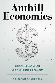 Front cover_Anthill Economics