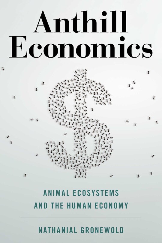 Front cover_Anthill Economics