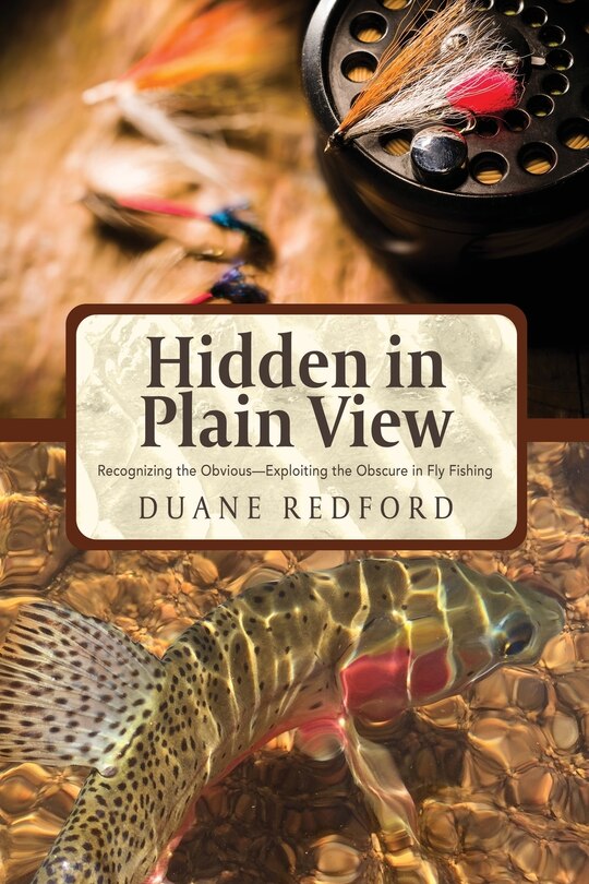 Couverture_Hidden in Plain View