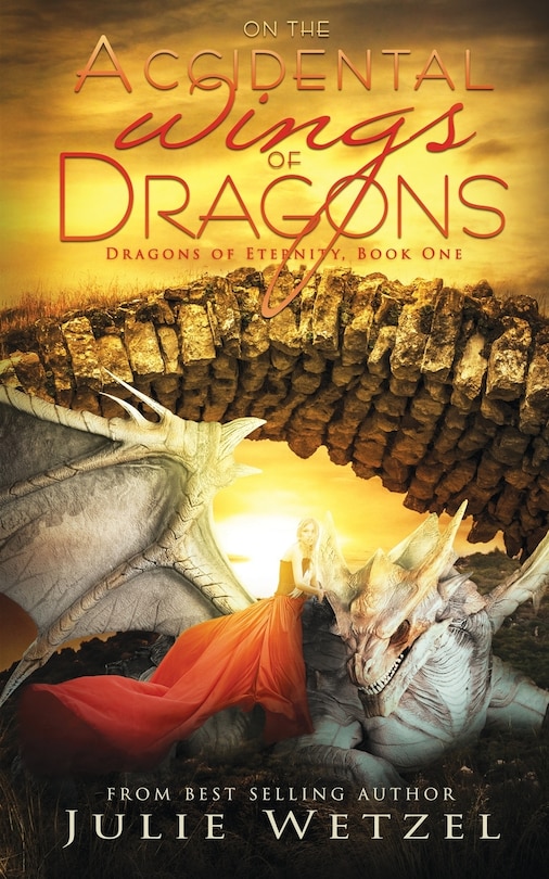Couverture_On the Accidental Wings of Dragons