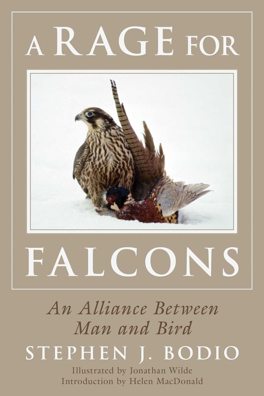 Front cover_A Rage for Falcons