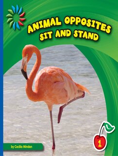 Front cover_Sit and Stand