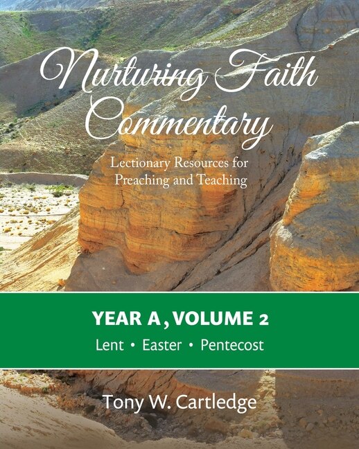 Front cover_Nurturing Faith Commentary, Year A, Volume 2