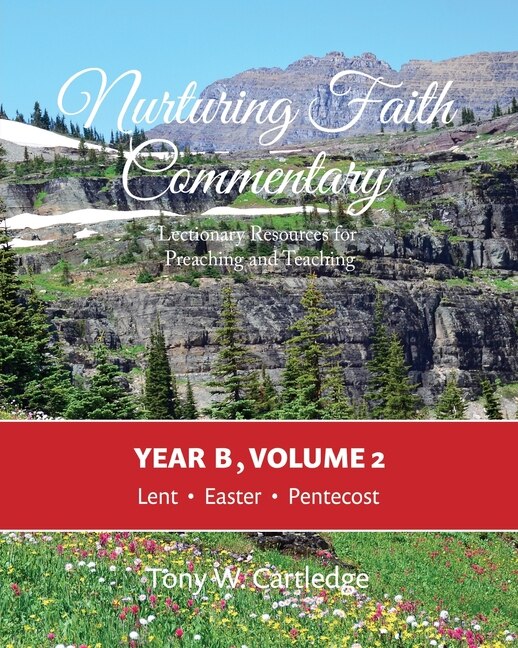 Front cover_Nurturing Faith Commentary, Year B, Volume 2