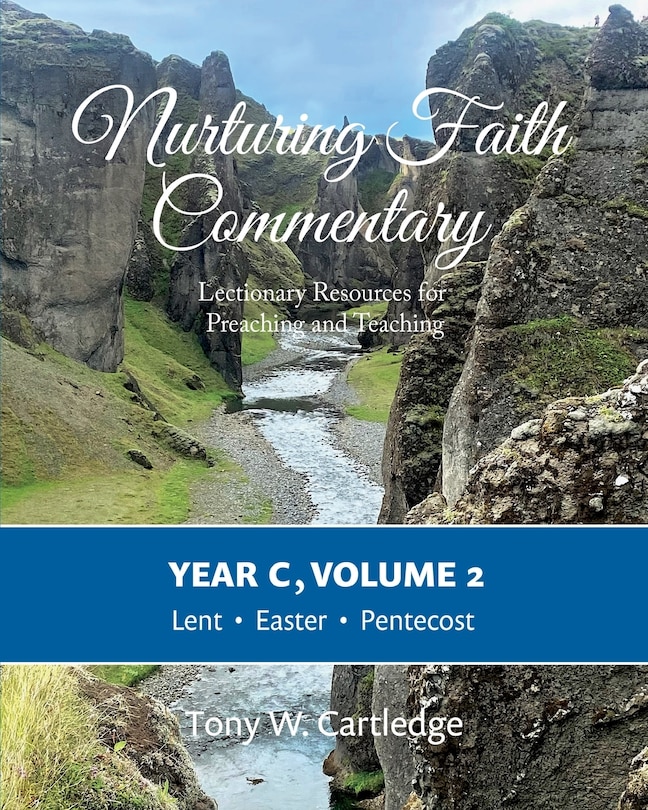 Front cover_Nurturing Faith Commentary, Year C, Volume 2
