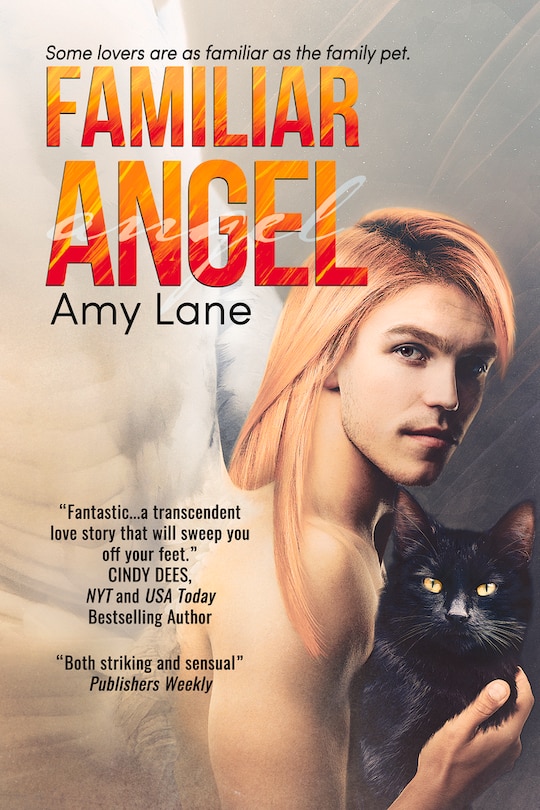 Front cover_Familiar Angel