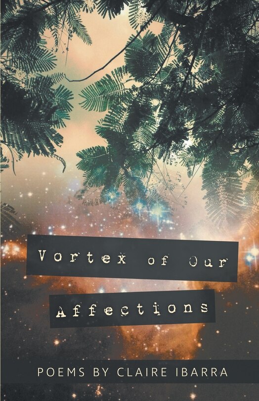 Couverture_Vortex of Our Affections