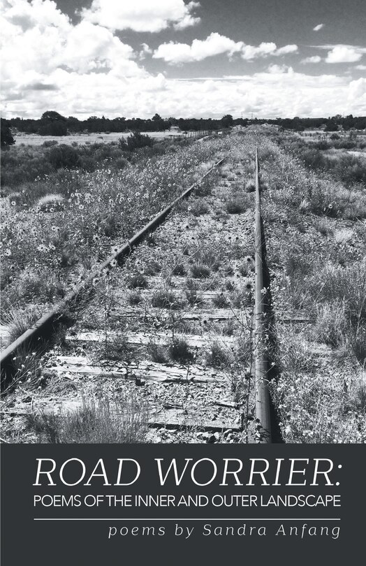 Couverture_Road Worrier