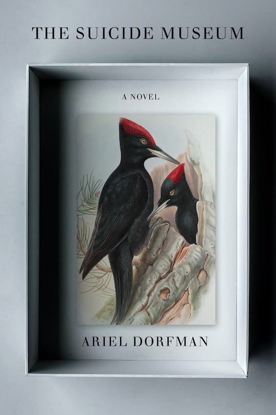 Couverture_The Suicide Museum