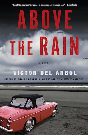 Above The Rain: A Novel