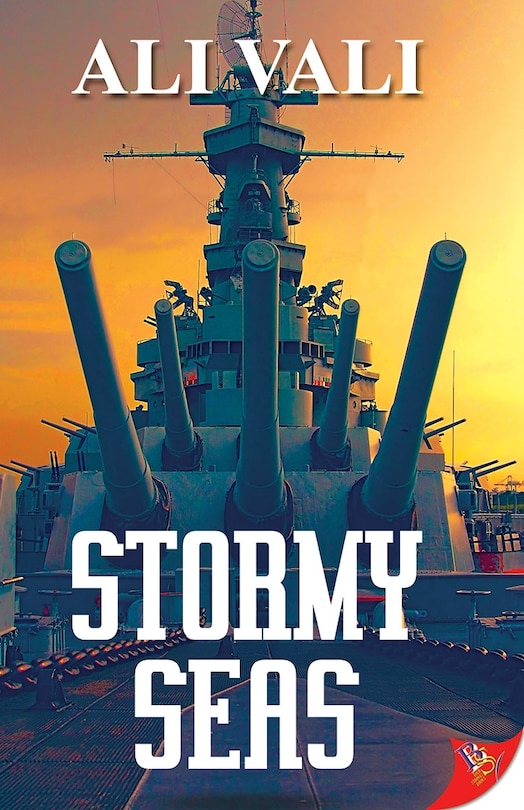 Front cover_Stormy Seas
