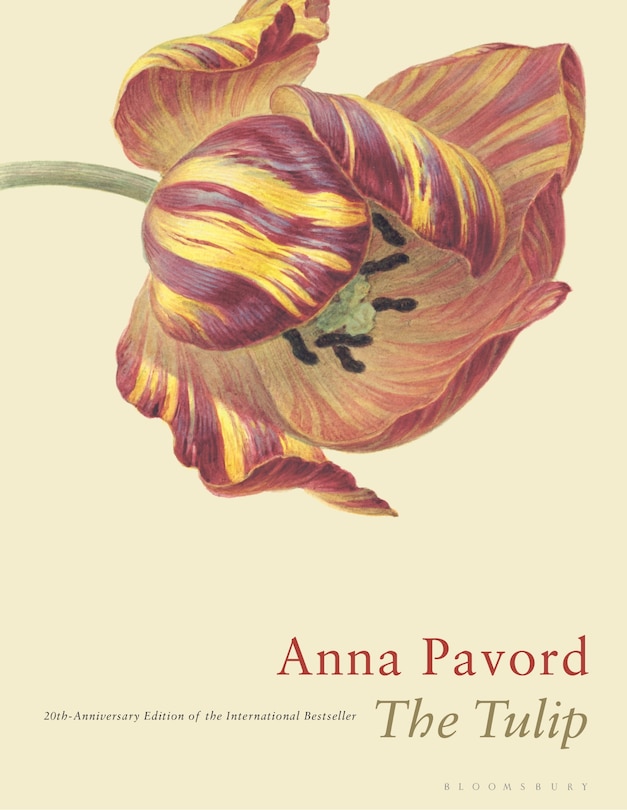 Front cover_The Tulip