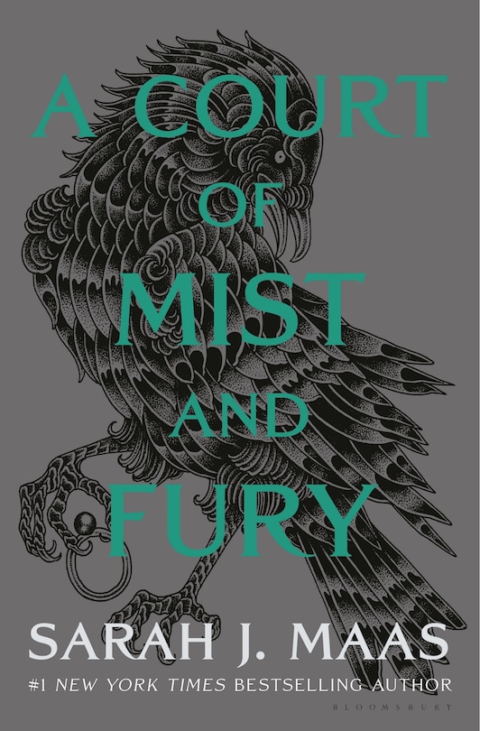 A Court of Mist and Fury image number 0