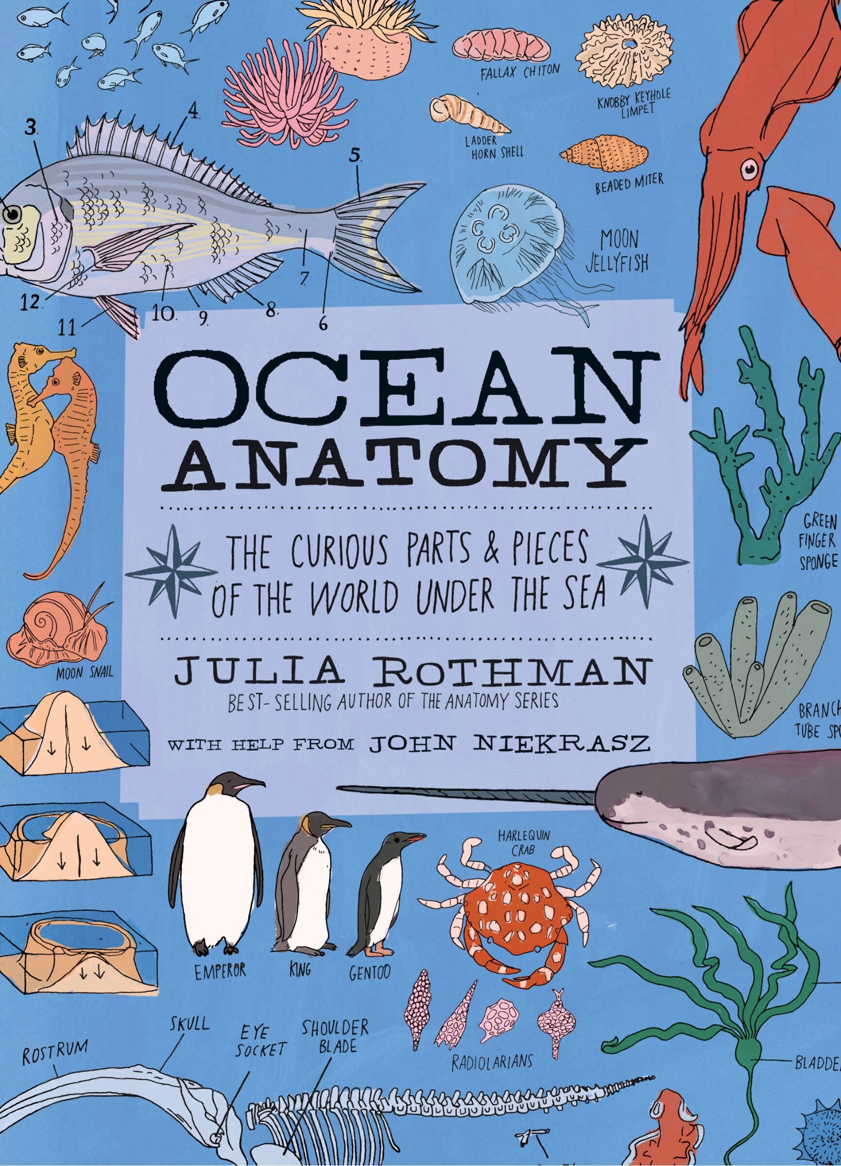 Ocean Anatomy: The Curious Parts & Pieces Of The World Under