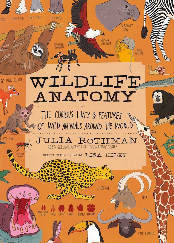 Couverture_Wildlife Anatomy