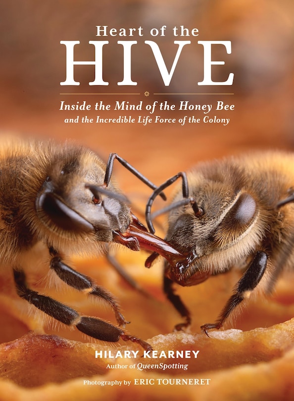 Front cover_Heart of the Hive