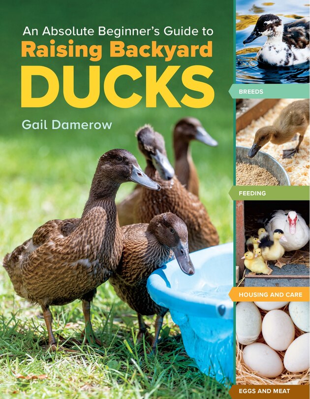 Front cover_An Absolute Beginner's Guide to Raising Backyard Ducks