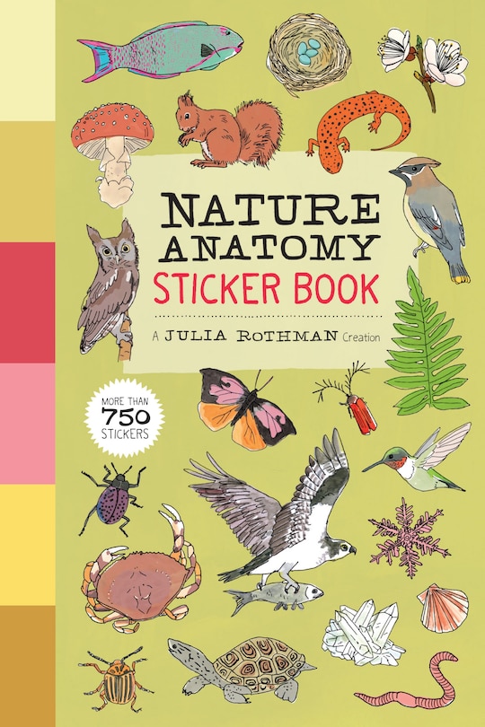 Nature Anatomy Sticker Book: A Julia Rothman Creation; More Than 750 Stickers