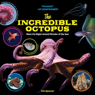 Front cover_The Incredible Octopus