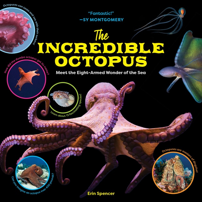 Front cover_The Incredible Octopus