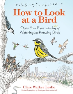 Front cover_How to Look at a Bird