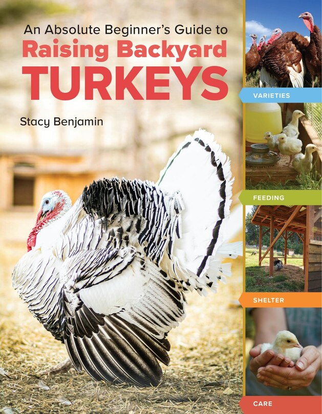 Front cover_An Absolute Beginner's Guide to Raising Backyard Turkeys