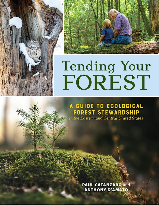 Couverture_Tending Your Forest