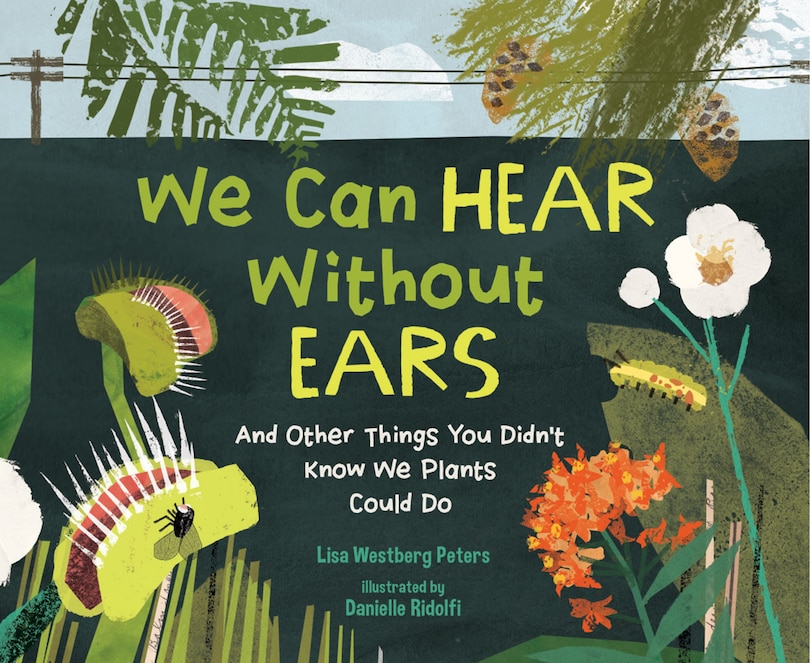Couverture_We Can Hear Without Ears