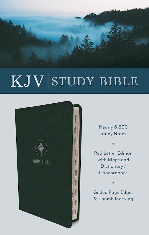 Couverture_The KJV Study Bible (Indexed) [Evergreen Fog]