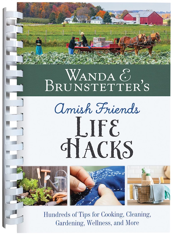 Front cover_Wanda E. Brunstetter's Amish Friends Life Hacks