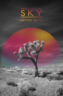 Front cover_Under a Future Sky