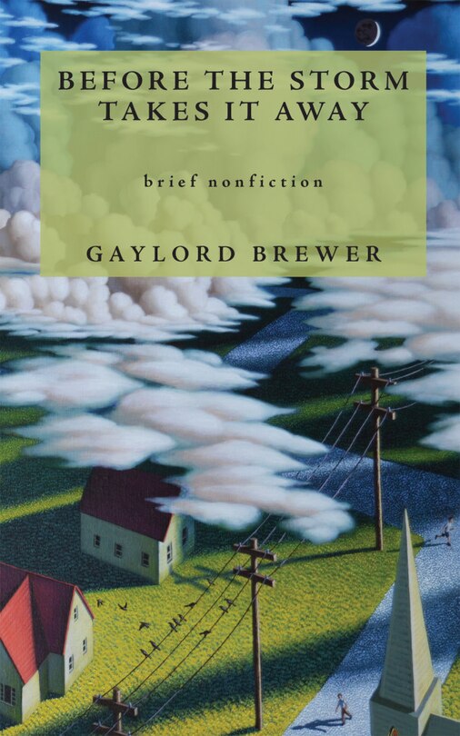 Front cover_Before the Storm Takes It Away