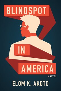 Couverture_Blindspot in America