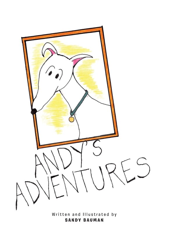 Couverture_Andy's Adventures
