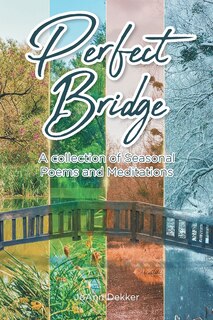 Front cover_Perfect Bridge