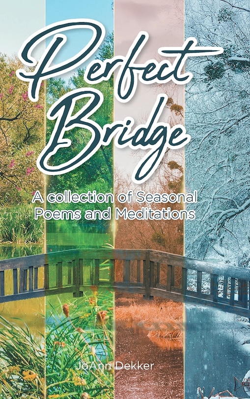 Front cover_Perfect Bridge
