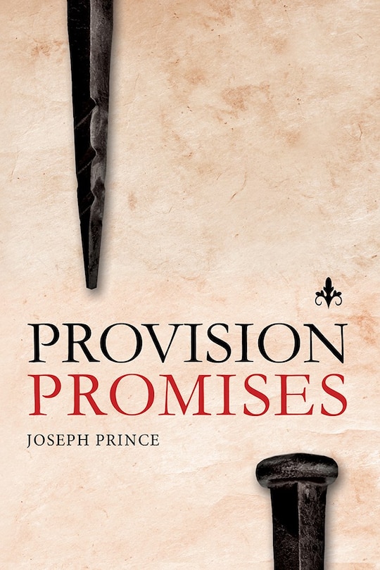 Front cover_Provision Promises