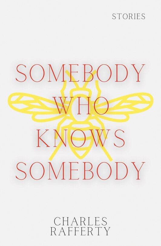 Couverture_Somebody Who Knows Somebody