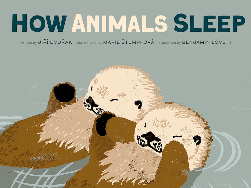 Couverture_How Animals Sleep