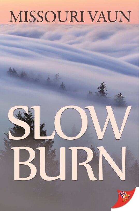 Couverture_Slow Burn