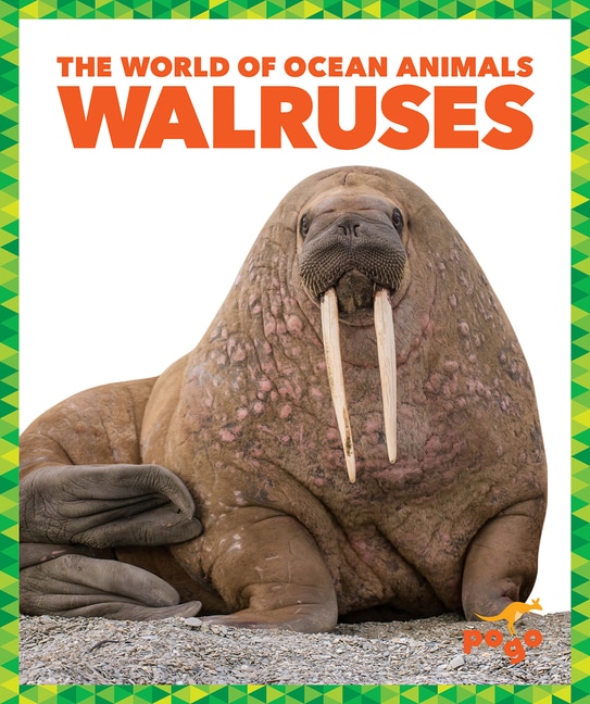 Front cover_Walruses