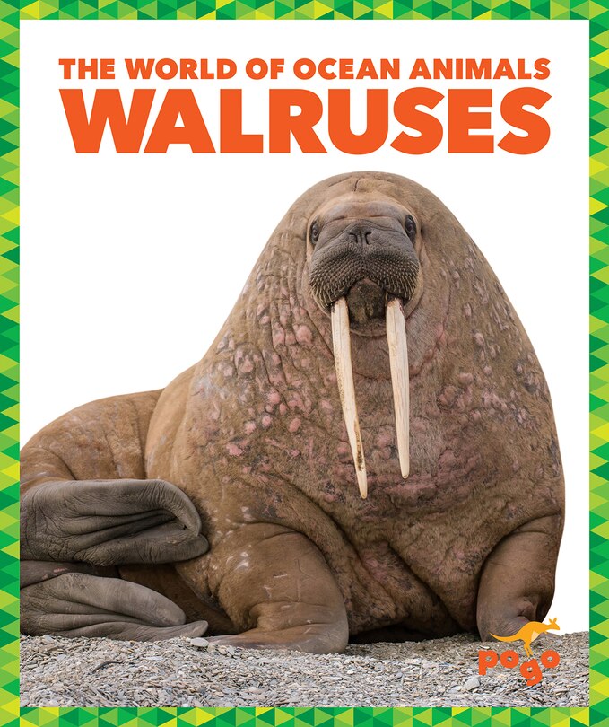 Couverture_Walruses