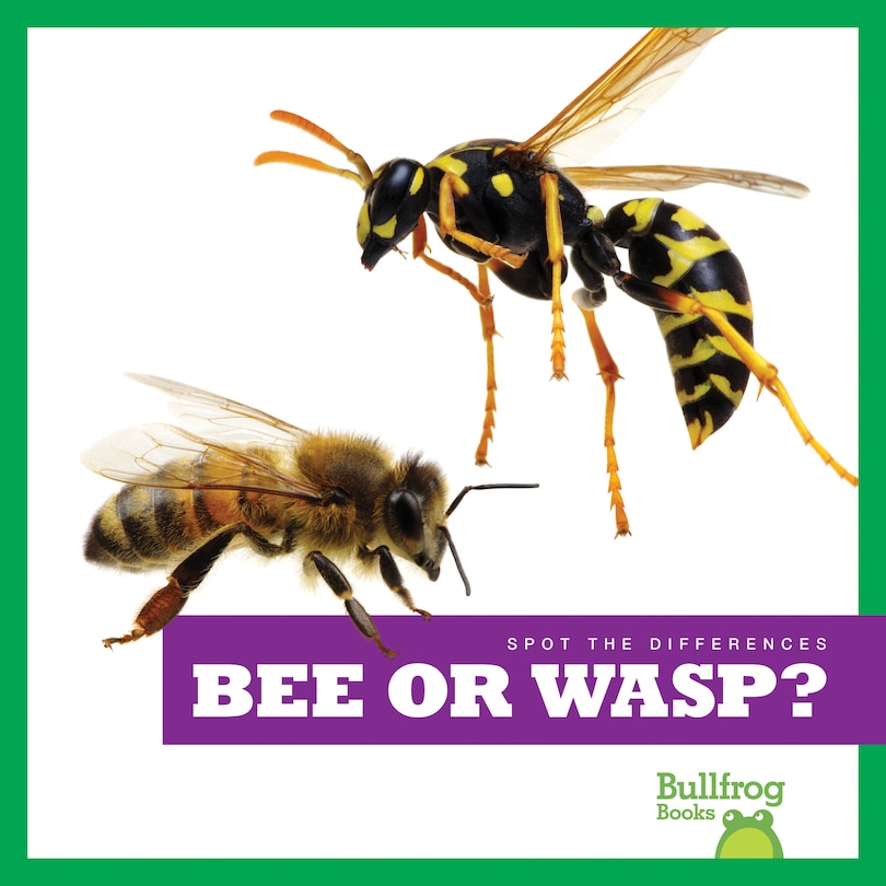 Bee or Wasp?