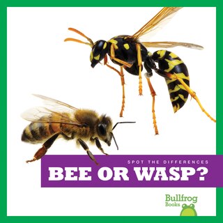 Couverture_Bee or Wasp?