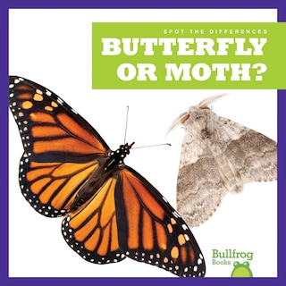 Front cover_Butterfly or Moth?