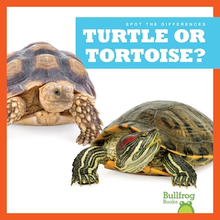 Front cover_Turtle or Tortoise?