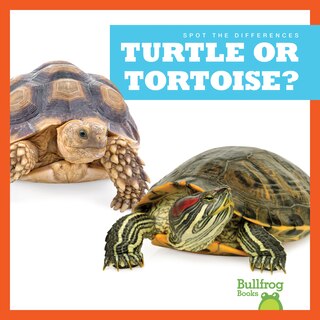 Couverture_Turtle or Tortoise?