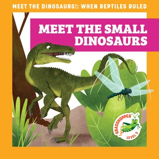 Front cover_Meet the Small Dinosaurs