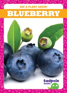 Front cover_Blueberry