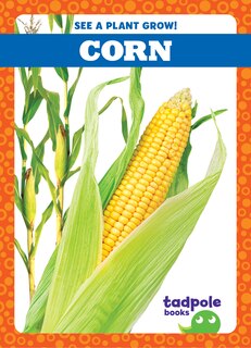 Front cover_Corn